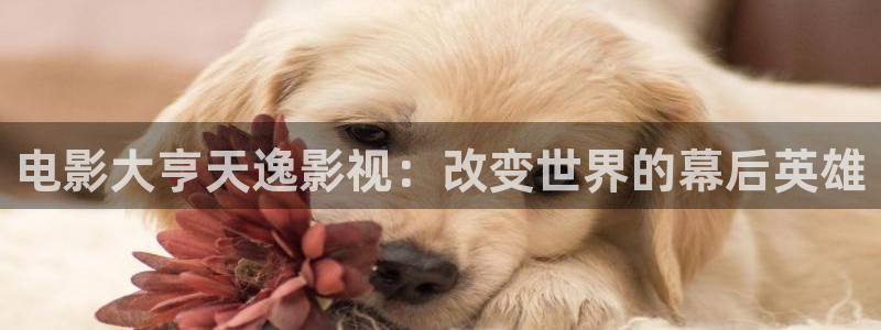 97超碰在线免费观看视频：电影大亨天逸影视：改变世界的幕后英雄