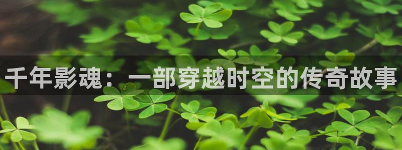 超碰人与兽：千年影魂：一部穿越时空的传奇故事
