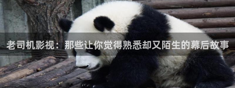 熟女超碰在线视频：老司机影视：那些让你觉得熟悉却又陌生的幕后故事