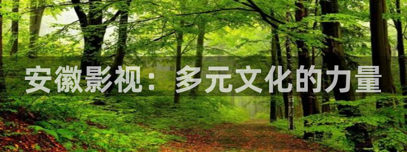 97超碰人人人：安徽影视：多元文化的力量