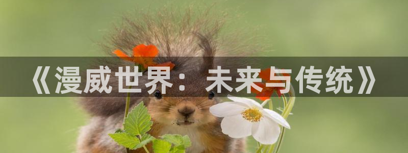 久热超碰：《漫威世界：未来与传统》