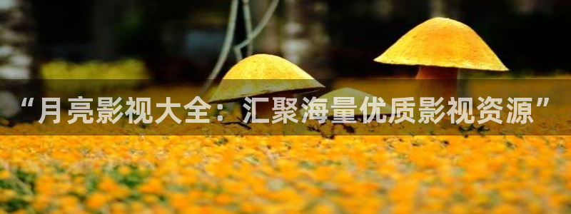 超碰79.：“月亮影视大全：汇聚海量优质影视资源”